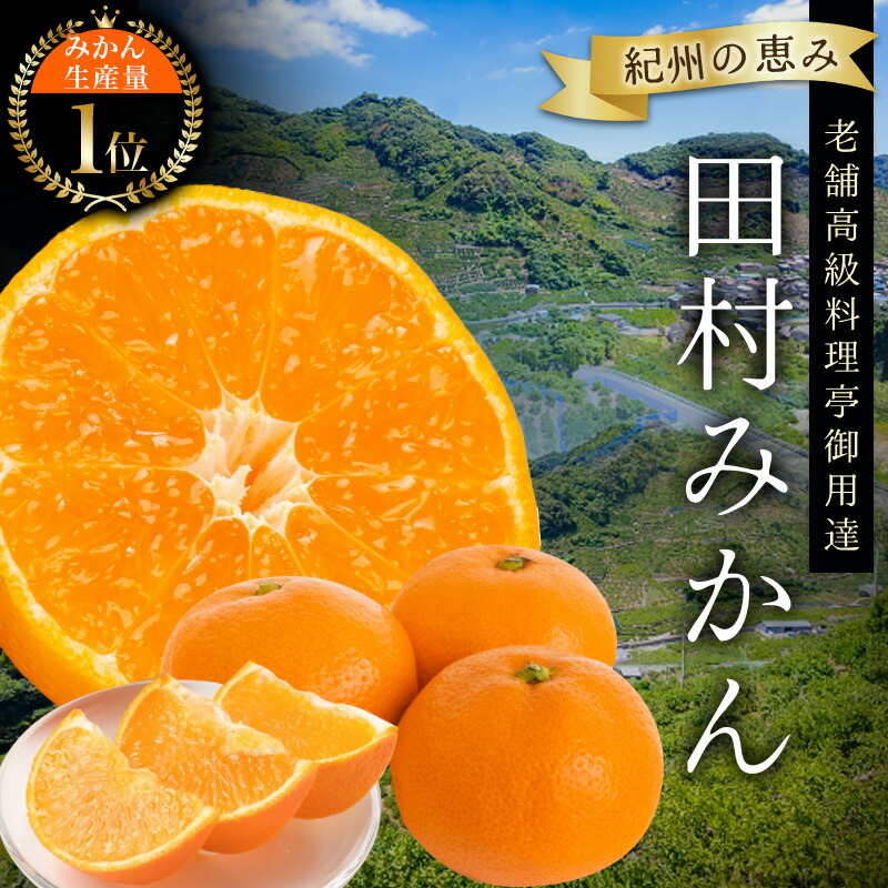 【ふるさと納税】 高級ブランド 田村みかん 【選べる容量】3kg 5kg 10kg / みかん 有田みかん ブランドみかん 温州みかん 産地直送 柑橘 果物 フルーツ  新鮮 旬 先行 【予約】※2025年11月下旬頃～2026年1月下旬頃に順次発送(お届け日指定不可)