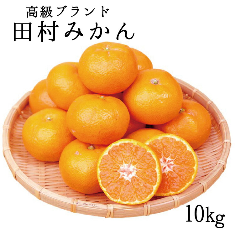 市場 ふるさと納税 10kg 予約 高級ブランド田村みかん ※2022年11月下旬〜2023年1月下旬頃に順次発送予定