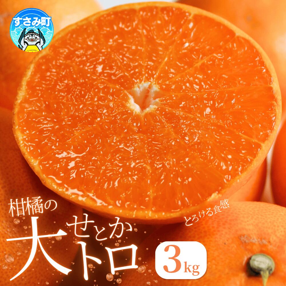 【ふるさと納税】とろける食感！ジューシー柑橘 せとか 約3kg ※2027年2月下旬頃～3月中旬頃(お届け日指定不可) / みかん 果物 フルーツ くだもの 柑橘 和歌山 ミカン 有田みかん｜和歌山県すさみ町