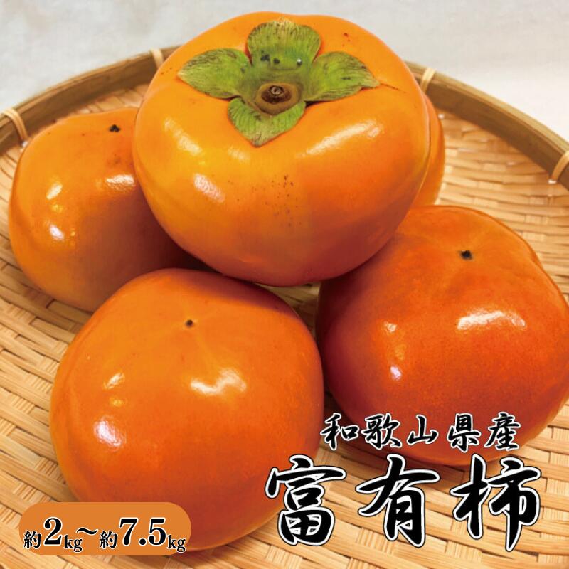 【ふるさと納税】 和歌山秋の味覚 富有柿 【選べる容量】約2kg 約4kg 約7.5kg ※2025年11月上旬頃～2025年12月上旬頃に発送（お届け日指定不可）/ 和歌山 柿 フルーツ 果物 カキ かき たねなし柿