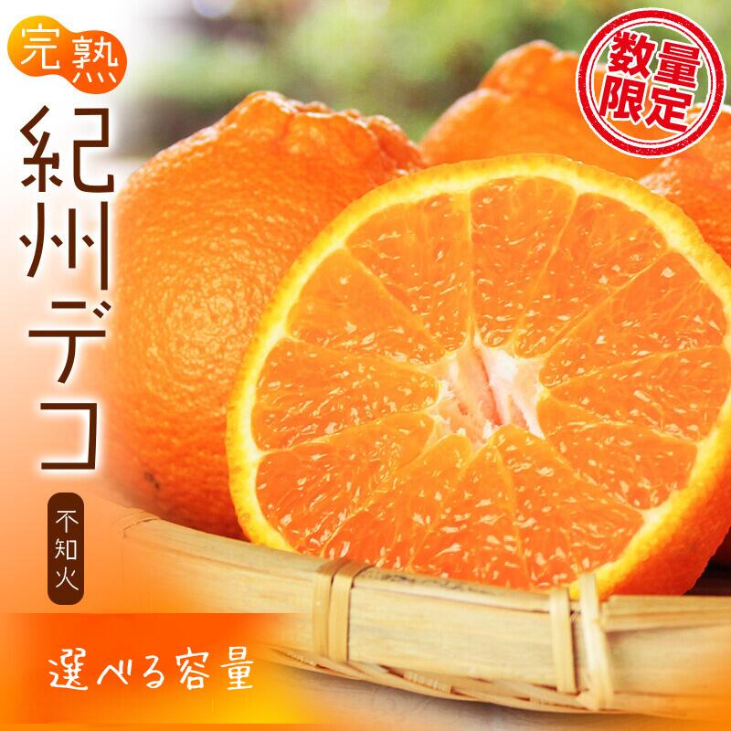【ふるさと納税】果肉プリプリ♪ 完熟紀州デコ(不知火) 【選べる容量】 約3kg 約5kg ＜2027年2月下旬頃～3月中旬頃発送予定＞（お届け日指定不可）/ デコポン 不知火 みかん ミカン 柑橘 果物 フルーツ 果実 和歌山 人気 くだもの おすすめ 期間限定｜和歌山県すさみ町 9,620円