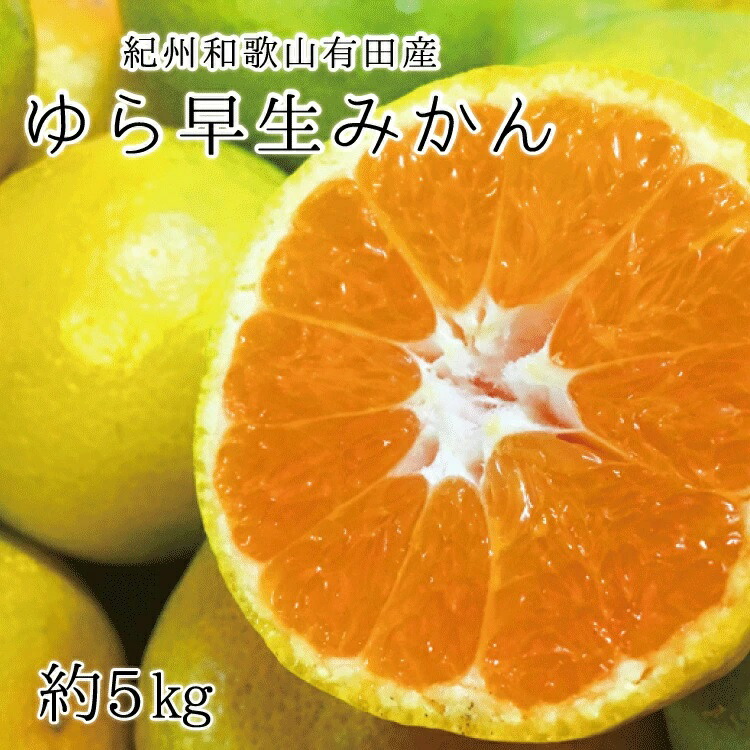 最大61%OFFクーポン 紀州和歌山有田産ゆら早生みかん 5kg ※2022年10月中旬〜2022年10月下旬頃順次発送 お届け日指定不可  fucoa.cl