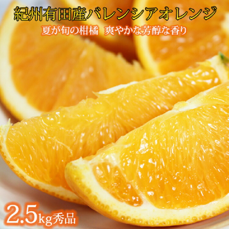 【ふるさと納税】 秀品　希少な国産バレンシアオレンジ　2.5kg　※2025年6月下旬頃～2025年7月上旬ごろ順次発送予定（お届け日指定不可）/ オレンジ　フルーツ 果物 果実 みかん 柑橘 おれんじ ミカン