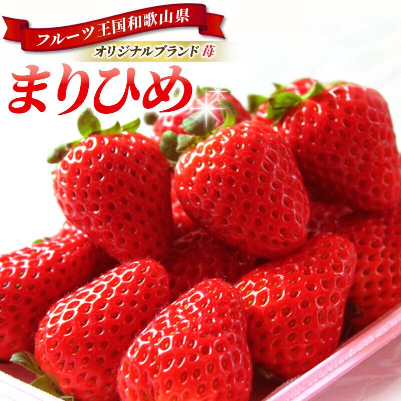 【ふるさと納税】 いちご  和歌山オリジナルブランドいちご「まりひめ」【選べる容量】 2パック 4パック / 苺 ストロベリー フルーツ 果物 甘 18000円 14000円 国産 ケーキ ギフト 贈り物 贈答 プレゼント ※2026年1月上旬頃～2026年3月上旬頃順次発送（お届け日指定不可）