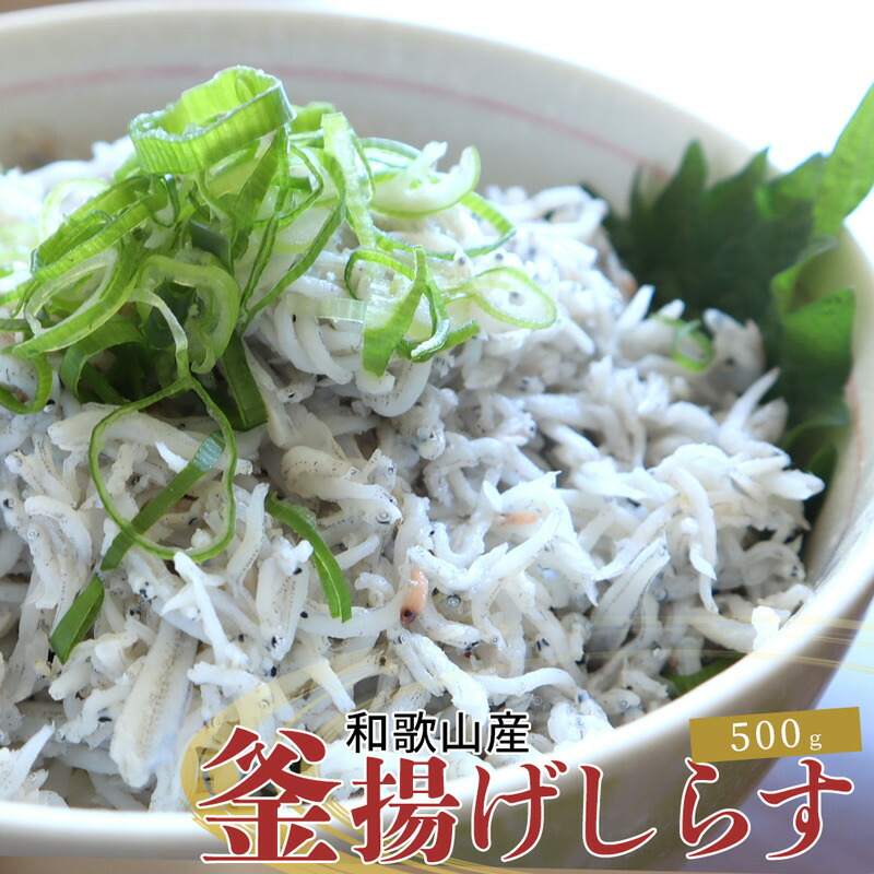 【ふるさと納税】紀州和歌山湯浅産 釜揚げしらす 500g(100g×5) ※冷凍発送|和歌山県すさみ町