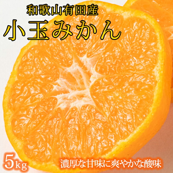 【ふるさと納税】【先行予約】【有田の小粒みかん5kg　(S～3Sサイズ混合) ※2026年11月下旬頃～12月下旬頃に順次発送予定 / みかん ミカン 蜜柑 温州みかん 柑橘 フルーツ 果物 くだもの 和歌山｜和歌山県すさみ町 13,090円