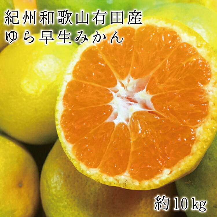 84％以上節約 紀州和歌山有田産ゆら早生みかん10kg ※2022年10月中旬〜10月下旬頃に順次発送予定 お届け日指定不可 fucoa.cl