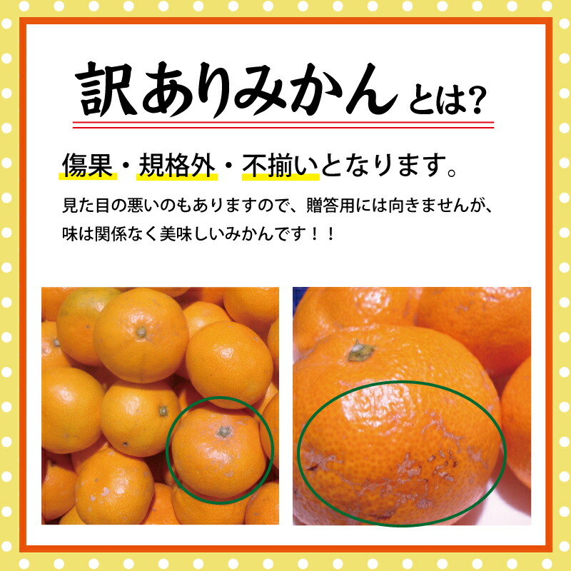 市場 ふるさと納税 約10kg 農家直送 有田みかん 訳ありみかん 11月中旬頃より順次発送 サイズ混合 訳あり