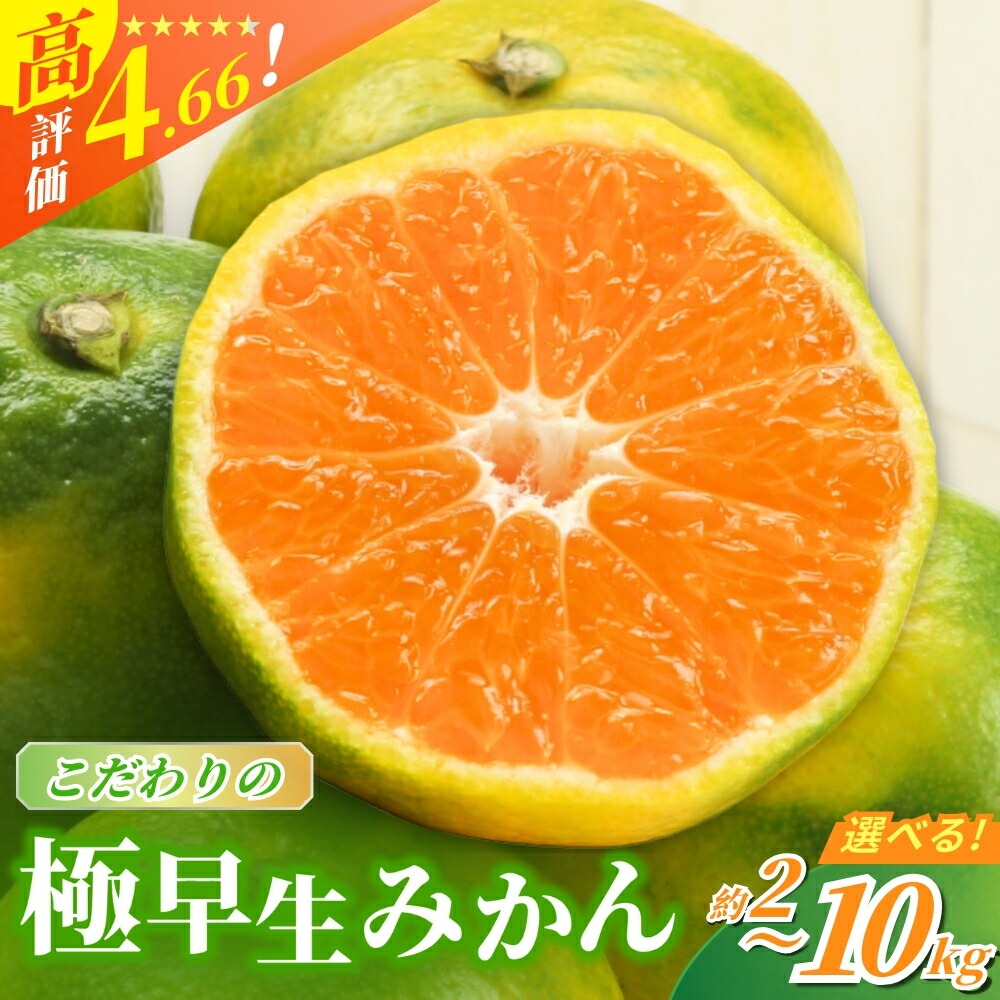 【ふるさと納税】 【先行予約】 ＼光センサー選別／ 農家直送 こだわりの極早生みかん 【選べる容量】約2kg 約4kg 約5kg 約7.5kg 約10kg  数量限定 有機質肥料100% サイズ混合 ※2025年9月下旬より順次発送予定（お届け日指定不可） 有田産 有田 みかん ミカン 早生