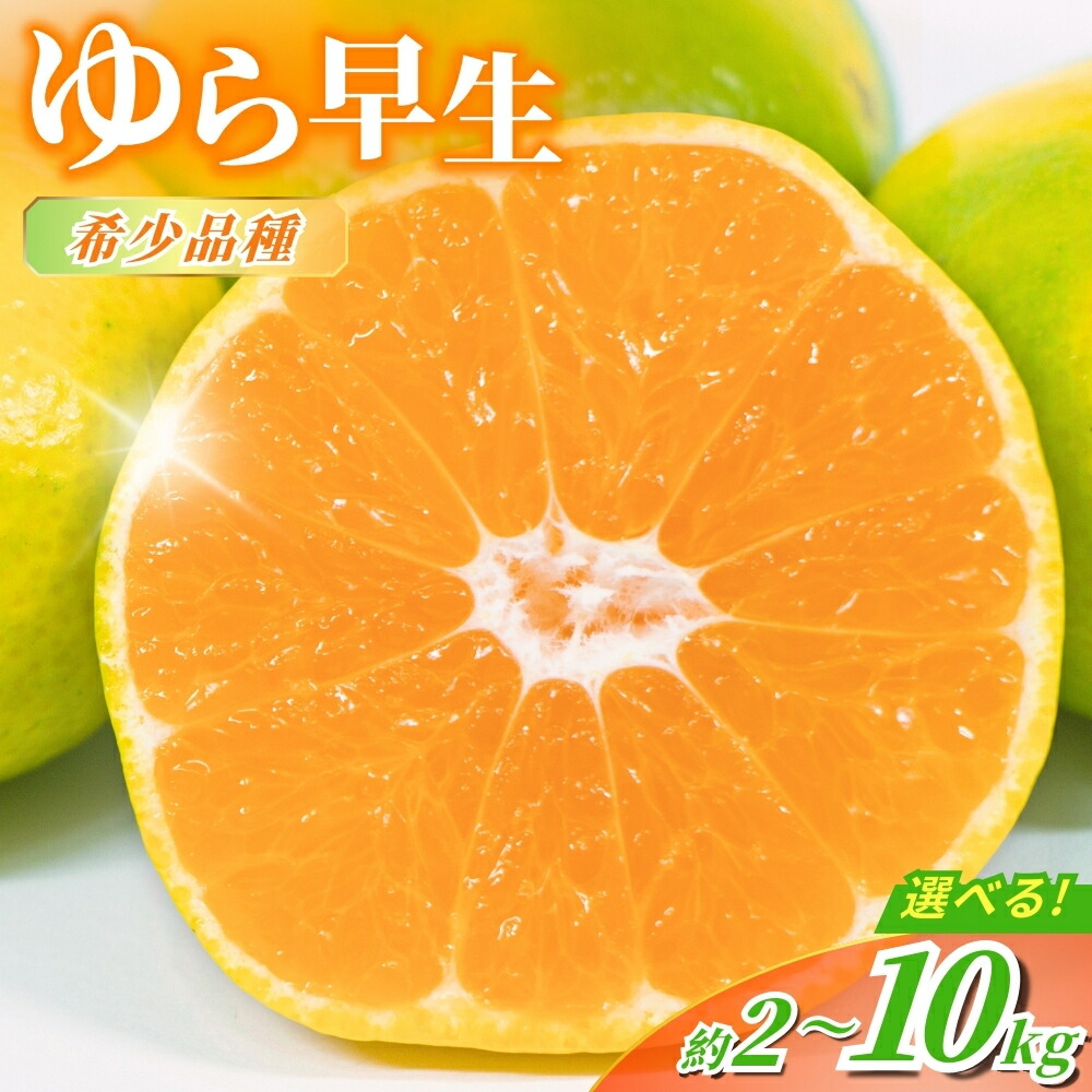 【ふるさと納税】【先行予約】  ＼光センサー選別／＼農家直送／ 甘くて濃厚 希少品種 ゆら早生みかん 【ご家庭用】 2kg 4kg 5kg 7kg 10kg【選べる容量】 サイズ混合  有機質肥料100% 【2025年10月上旬より順次発送予定（お届け日指定不可）】果物 みかん 早生 ミカン