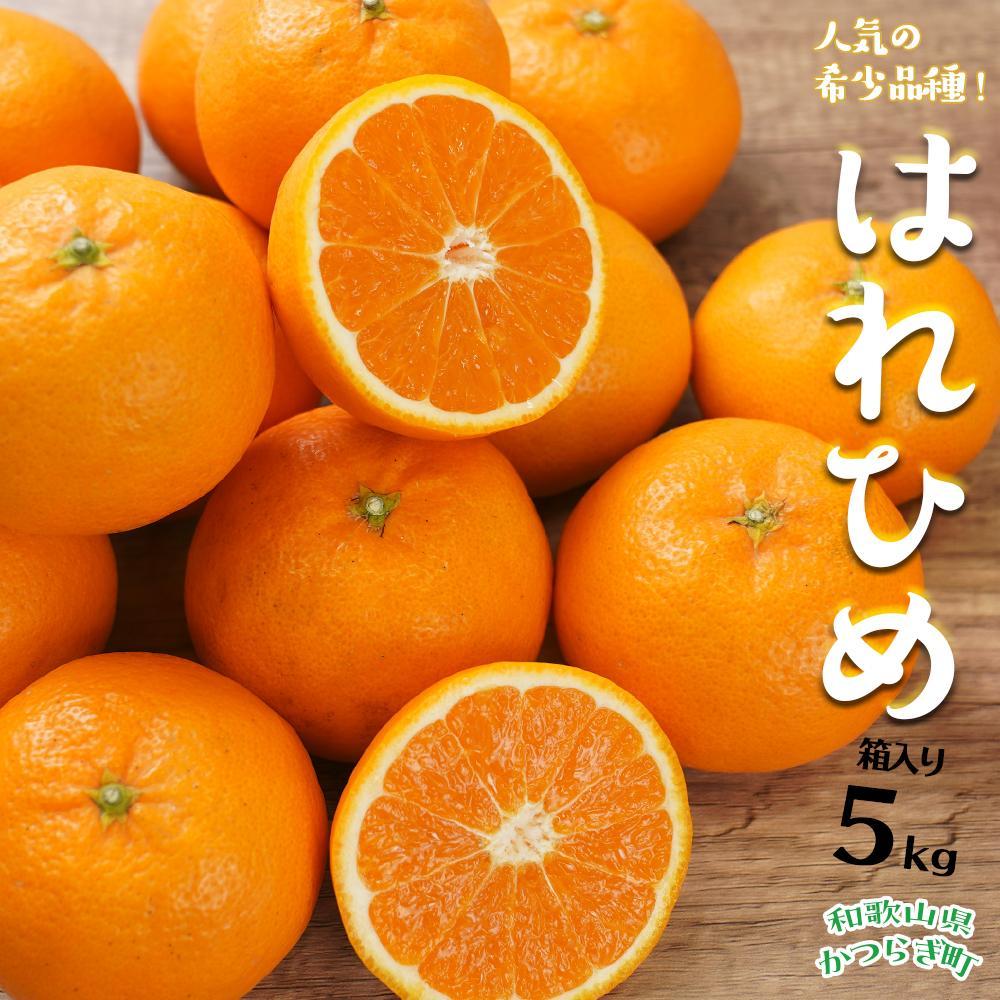【ふるさと納税】はれひめ（ミカンの希少種） 秀品  約5ｋｇ（25個～30個入）［先行予約］［2025年12月中旬頃から発送］［KG3］ | 蜜柑 みかん ミカン フルーツ 果物 くだもの 食品 人気 おすすめ 送料無料