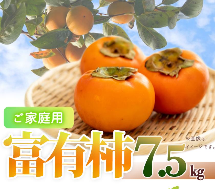 【ふるさと納税】［ご家庭用わけあり］和歌山秋の味覚　富有柿　約７．５ｋｇ「2026年11月上旬以降発送予定」［UT47］ | 返礼品 柿 カキ かき 旬の果物 旬のフルーツ 果物 くだもの フルーツ 果実 取り寄せ