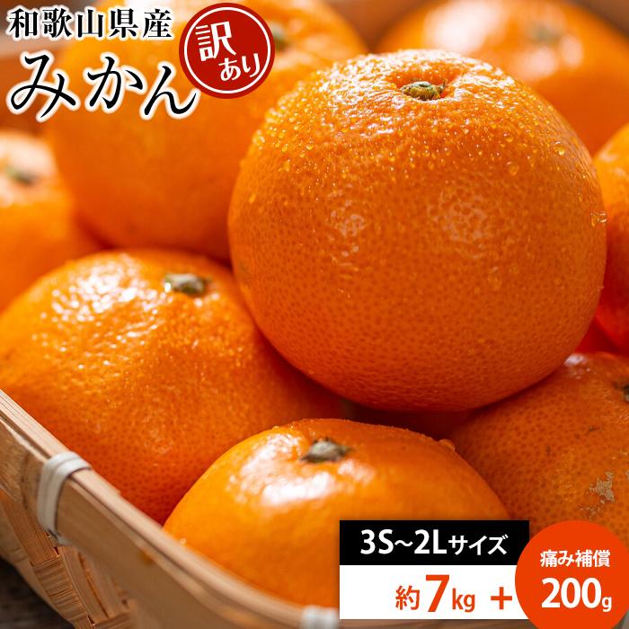 【ふるさと納税】和歌山県産 糖度9.5度 以上 訳あり みかん 7kg 傷み補償+200g 3S ～ 2Ｌサイズ混合【MG58】 | みかん 蜜柑 フルーツ 果物 くだもの 食品 人気 おすすめ 送料無料