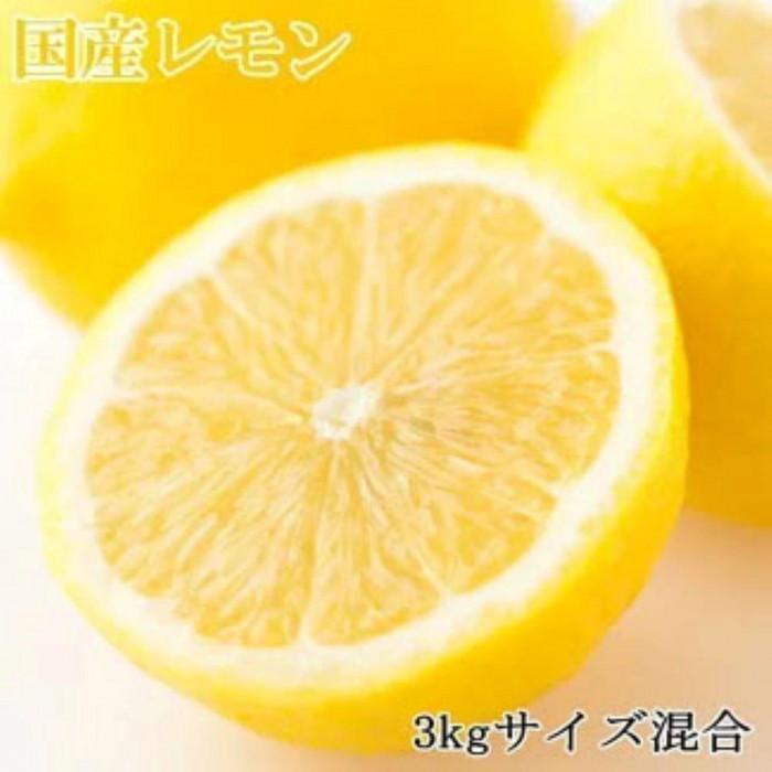 【ふるさと納税】【産直】和歌山産レモン約3kg（サイズ混合）★2025年3月中旬頃より順次発送【TM150】 | 和歌山 那智勝浦町 返礼品 レモン 果物 くだもの フルーツ 果実 旬の果物 旬のフルーツ 柑橘類 柑橘系 名産品 特産品 お土産 お取り寄せ 美味しい 食べ物
