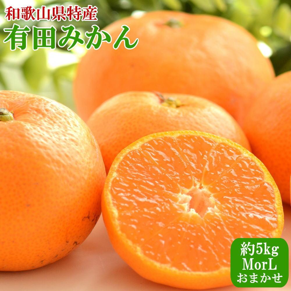 【ふるさと納税】[秀品]和歌山有田みかん約5kg(MまたはLサイズ) ★2026年11月中旬頃より順次発送［TM98］ | 数量限定 期間限定 みかん 蜜柑 柑橘 果物 フルーツ おすすめ 人気｜和歌山県那智勝浦町