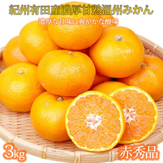 【ふるさと納税】赤秀品　紀州有田産濃厚完熟温州みかん　3kg（ＭサイズまたはＳサイズ）［2026年11月下旬以降発送］［先行予約］［UT12］ | 期間限定 みかん 蜜柑 柑橘 果物 フルーツ おすすめ 人気 和歌山 返礼品 くだもの 果実 旬の果物 旬のフルーツ 柑橘類 かんきつ類｜和歌山県那智勝浦町