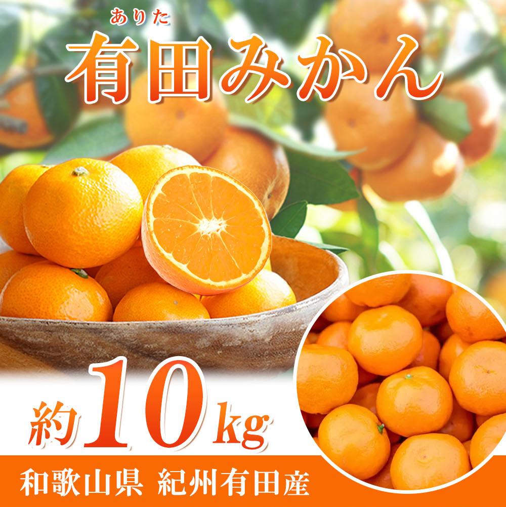 【ふるさと納税】完熟有田みかん　10kg［2026年11月下旬以降発送］［先行予約］［UT11］ | 期間限定 みかん 蜜柑 柑橘 果物 フルーツ おすすめ 人気 和歌山 返礼品 ミカン 有田みかん くだもの 果実 旬の果物 旬のフルーツ 柑橘類 柑橘系 美味しい おいしい お取り寄せ｜和歌山県那智勝浦町