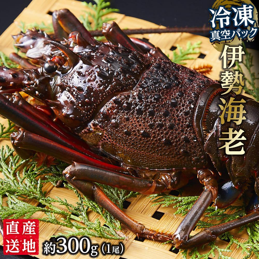 楽天市場】【ふるさと納税】冷凍 伊勢海老1尾（約300g前後）真空