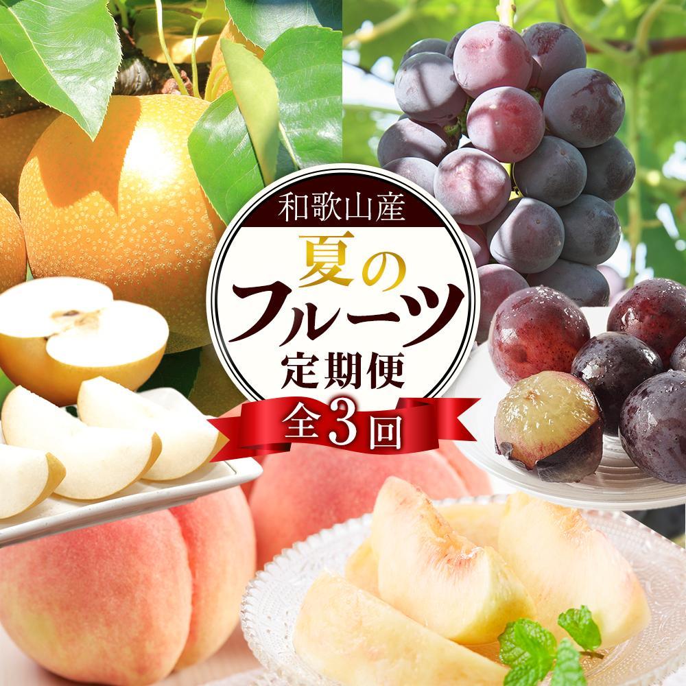 【ふるさと納税】定期便全3回 【7月・8月・9月発送】 和歌山の夏のフルーツをお届け（桃・梨・たねなしピオーネ）【TM179】 | フルーツ 果物 くだもの 食品 人気 おすすめ 送料無料 定期便 産地直送