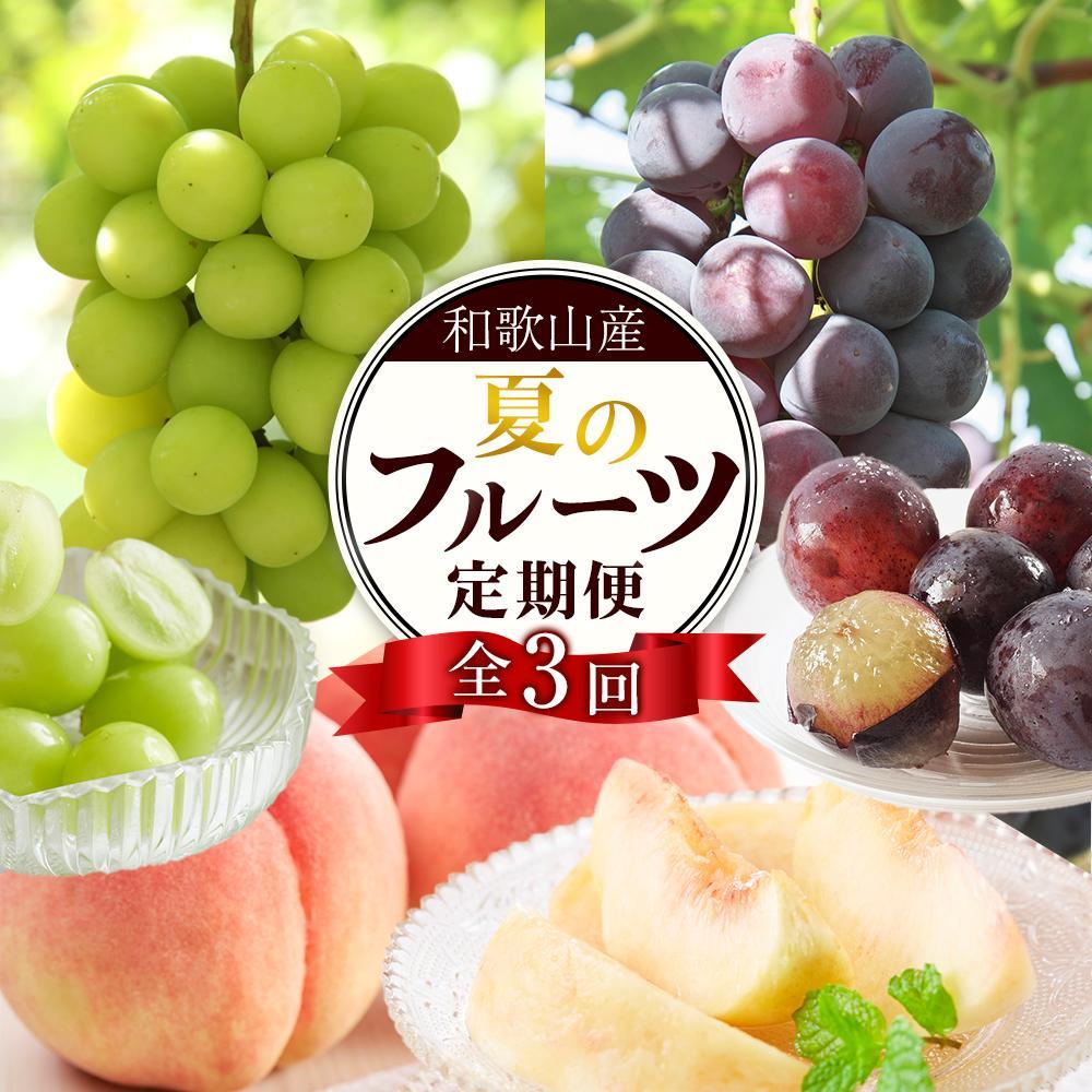 【ふるさと納税】定期便全3回 【7月・8月・9月発送】 和歌山のフルーツをお届け（桃・たねなしピオーネ・シャインマスカット）【TM180】 | 那智勝浦町 人気 おすすめ 和歌山産 桃 ぶどう ピオーネ フルーツ ギフト 贈答用 お取り寄せ 送料無料 ふるさと納税｜和歌山県那智勝浦町