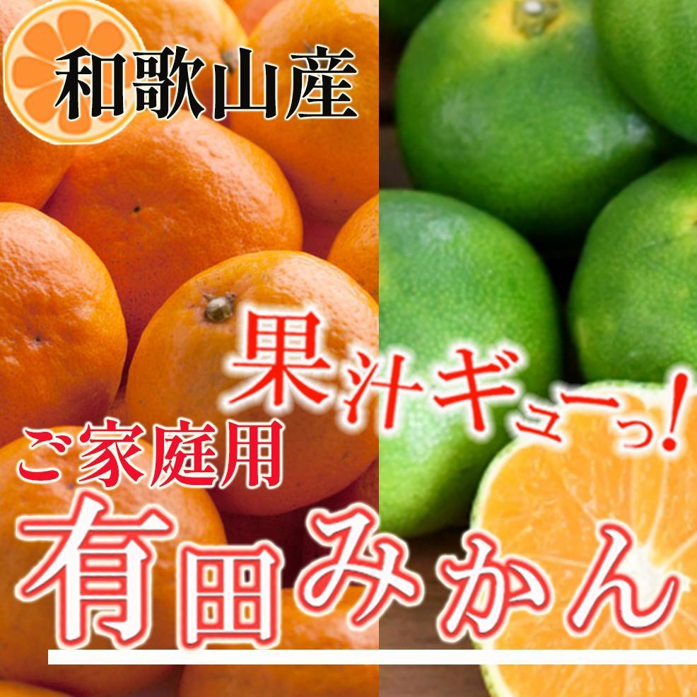 【ふるさと納税】家庭用 有田みかん10kg+250g（傷み補償分）［2025年10月上旬から2026年1月下旬頃順次発送予定］［IKE252］ | フルーツ 果物 くだもの 食品 人気 おすすめ 送料無料