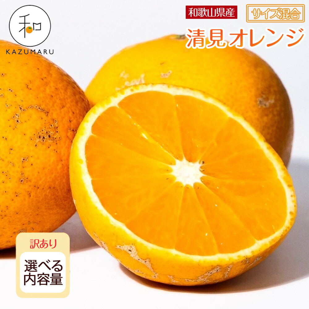 【ふるさと納税】［先行予約］訳あり 森本農園の手選別 清見オレンジ6kg or 8kg 和歌山県産 サイズ混合 ［北海道・沖縄・離島配送不可］ | みかん 蜜柑 フルーツ 果物 くだもの 食品 人気 おすすめ 送料無料