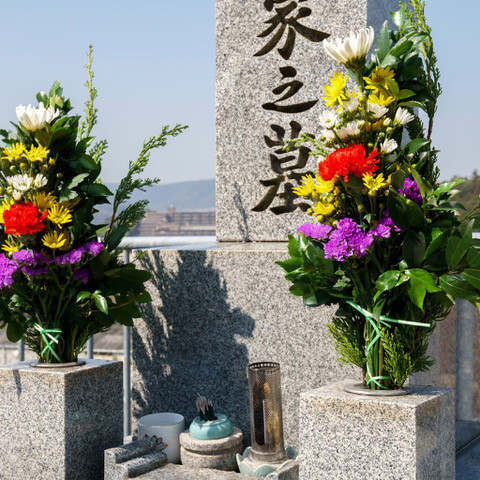 【ふるさと納税】［全12回］ お墓掃除定期便＋仏花１対 | お墓 代行 掃除 送料無料 おすすめ 定期便