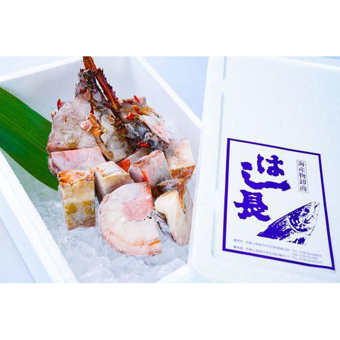 【ふるさと納税】冷凍伊勢海老カット約1kg（サイズ不揃い）（約500ｇ×2） | 和歌山県 和歌山 那智勝浦町 返礼品 えび 海老 エビ 伊勢海老 イセエビ 伊勢エビ 伊勢えび お取り寄せグルメ 食べ物 たべもの 酒のつまみ おつまみ つまみ 酒の肴 取り寄せ 名産品 特産品 お土産