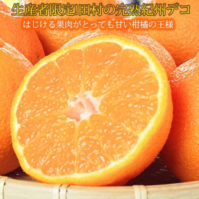 高級ブランド田村の完熟紀州デコ(不知火)