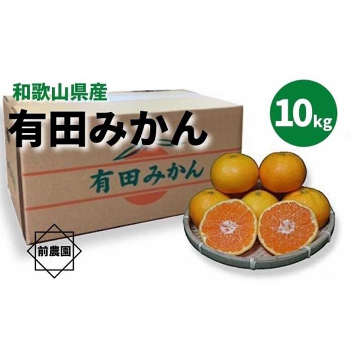 和歌山県産 有田みかん 10ｋｇ 秀品 話題の行列