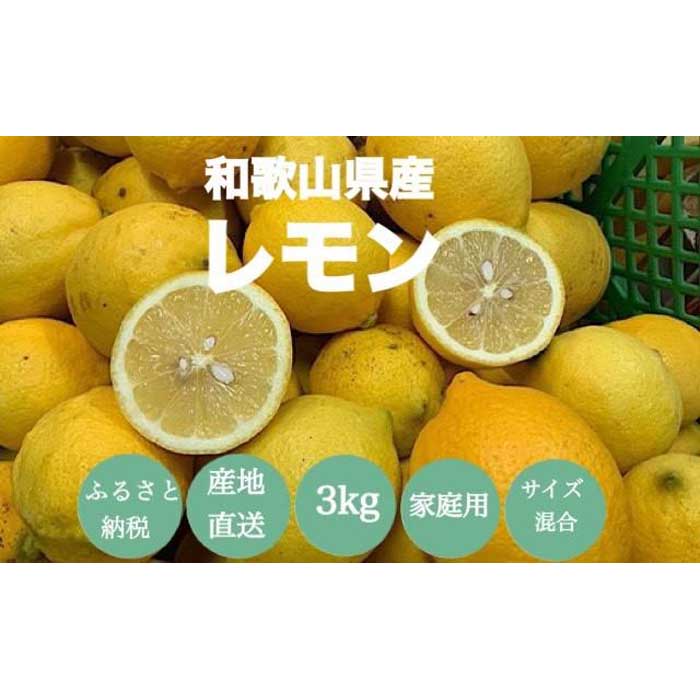 【ポイント10倍】 驚きの値段で 和歌山県産 レモン 3kg 家庭用 telcosector.com telcosector.com