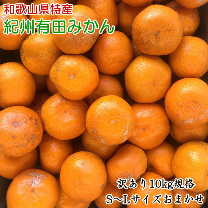 3000円 一番人気物 訳ありご家庭用 和歌山有田みかん約10kg S Lサイズいずれかお届け 22年11月より順次発送 数量限定 期間限定 みかん 蜜柑 柑橘 果物 フルーツ おすすめ 人気