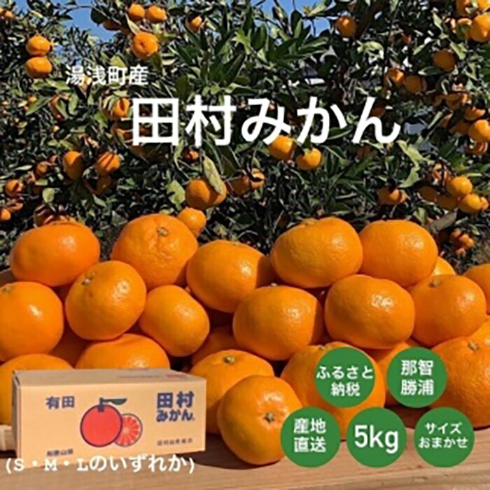 新着 湯浅産 田村みかん 5kg サイズおまかせ fucoa.cl