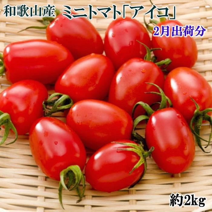 【ふるさと納税】［2月出荷分］ミニトマト「アイコトマト」約2kg（S・Mサイズおまかせ）［TM110］
