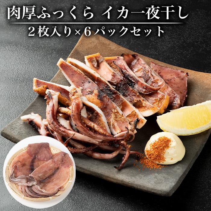 【ふるさと納税】肉厚ふっくら イカ一夜干し２枚入り×６パックセット | 和歌山県 和歌山 那智勝浦町 イカ 一夜干し いか 酒のつまみ おつまみ つまみ 酒の肴 取り寄せ ご飯のお供 ごはんのおとも ごはんのお供 ご飯のおとも お取り寄せグルメ いかの一夜干し イカの一夜干し