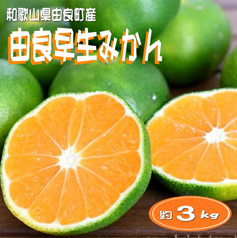 【ふるさと納税】 【先行予約】和歌山由良町産 由良早生みかん 約3kg 訳あり キズ 御家庭用 サイズ混合　※2026年10月上旬～10月下旬頃に順次発送（お届け日指定不可）｜和歌山県太地町