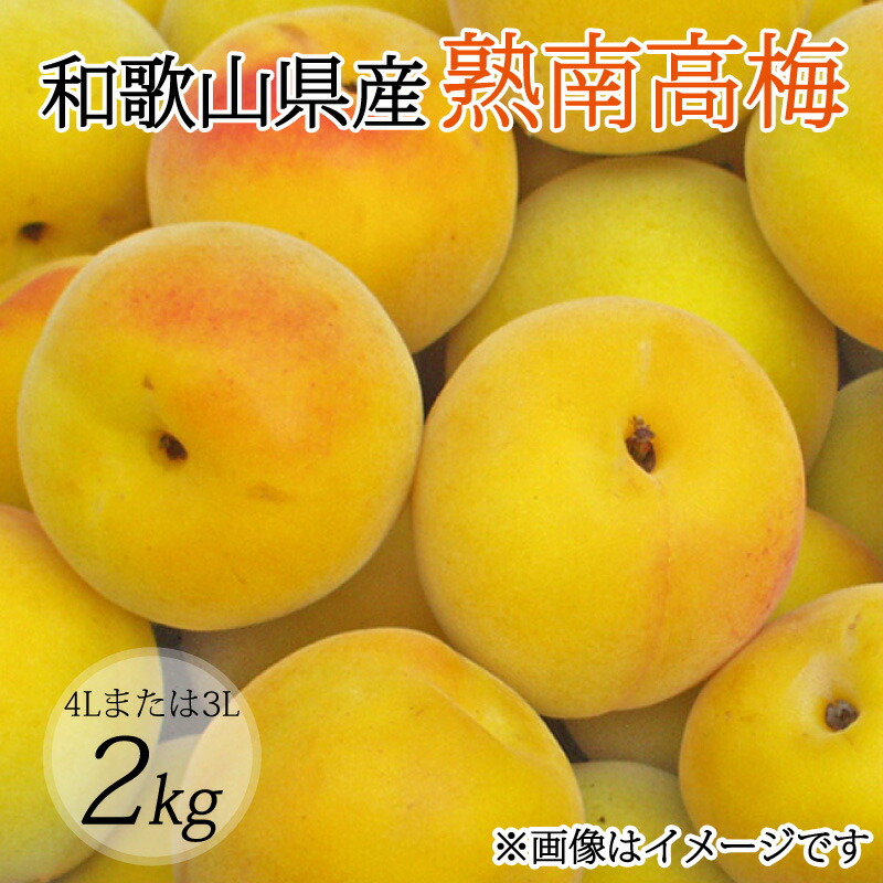 【ふるさと納税】 【梅干・梅酒用】（4Lまたは3L－2Kg）熟南高梅＜2025年6月上旬～7月上旬ごろに順次発送予定＞(お届け指定日不可)