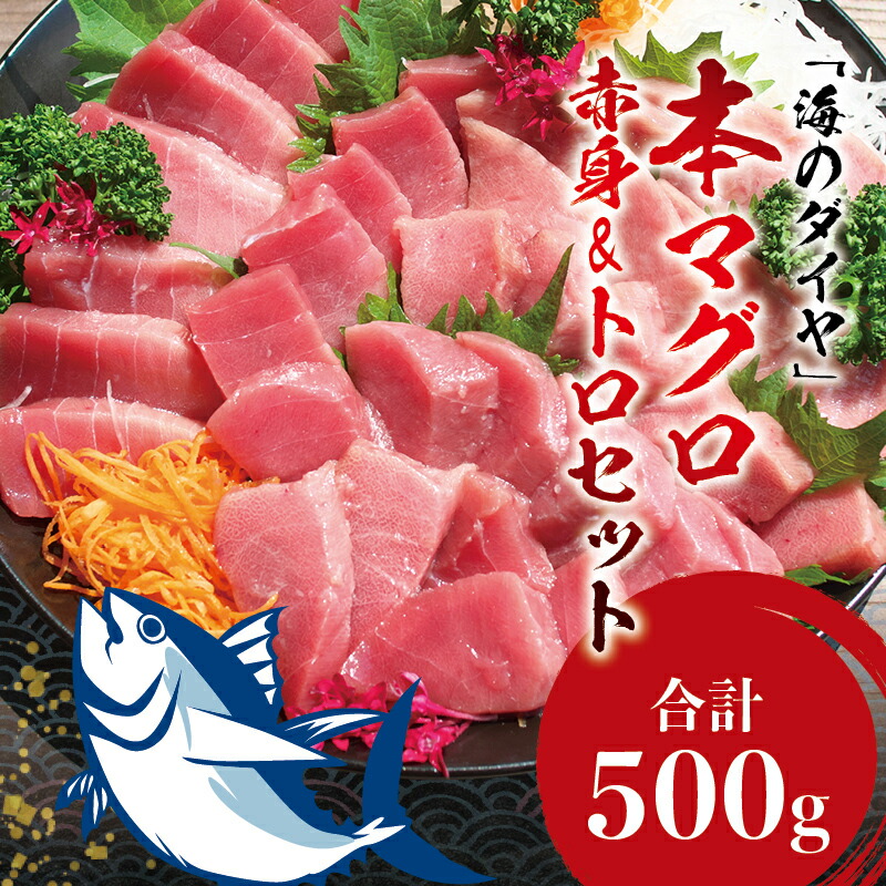 ふるさと納税 本マグロ 500g 本鮪 鮪 養殖 刺身 まぐろ 赤身セット トロ クロマグロ