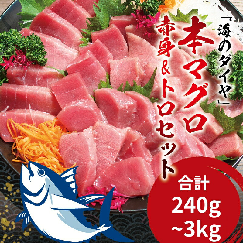 【ふるさと納税】 ＼お刺身やマグロ丼、お寿司で！／本マグロ（養殖）トロ＆赤身セット 240g 500g 1350g 3kg 【容量・発送時期が選べる】/ 中トロ 中とろ  まぐろ マグロ 鮪 赤身 柵 本マグロ お正月 年末発送