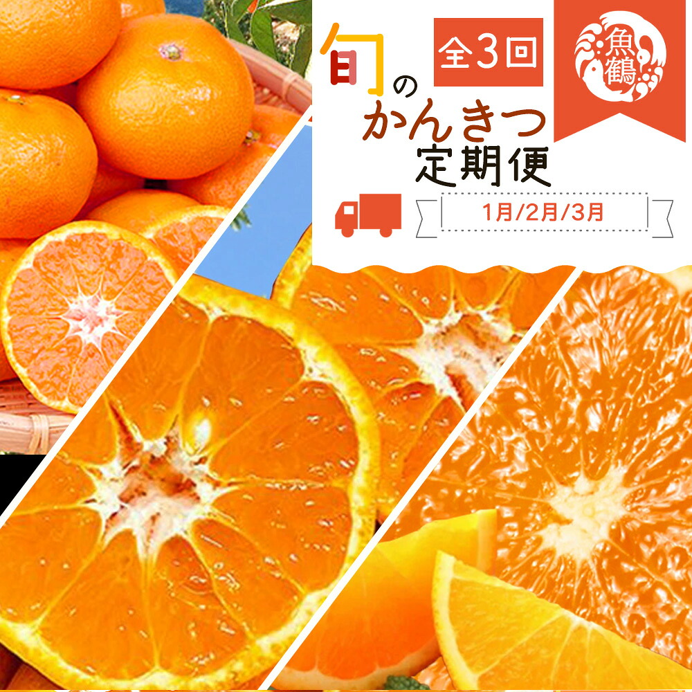 【ふるさと納税】 【3か月定期便】人気のみかんを集めた!旬の柑橘定期便 田村みかん・ポンカン・清見オレンジ|和歌山県太地町
