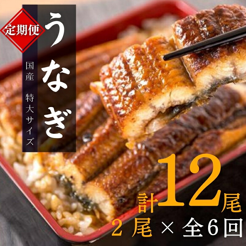 【ふるさと納税】 【全6回定期便】大型サイズ ふっくら柔らか 国産うなぎ蒲焼き 2尾×6回 計12尾 約2040g / うなぎ ウナギ 鰻 国産 蒲焼 蒲焼き たれ 人気 定期便 ふるさと納税