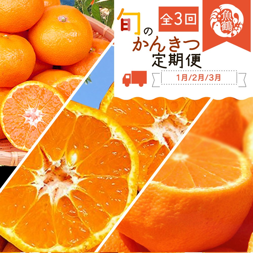 ♂品‼️納期1月中旬！ フルーツ・果物 【ふるさと納税】 【全3回】紀州和歌山産旬の柑橘定期