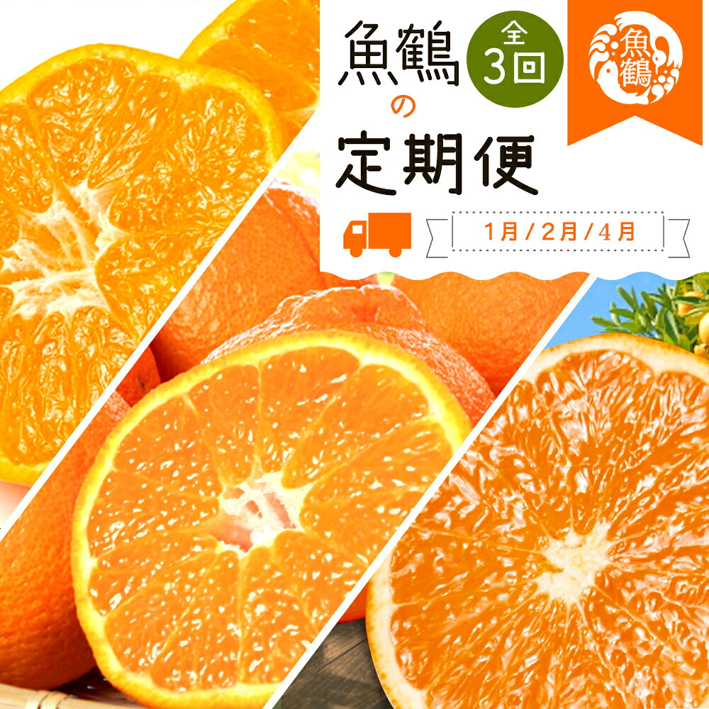 【ふるさと納税】 【全3回】紀州和歌山産旬の柑橘定期便(みかん・不知火・清見オレンジ) / フルーツ 果物 みかん 桃 もも 柿 旬 定期便|和歌山県太地町