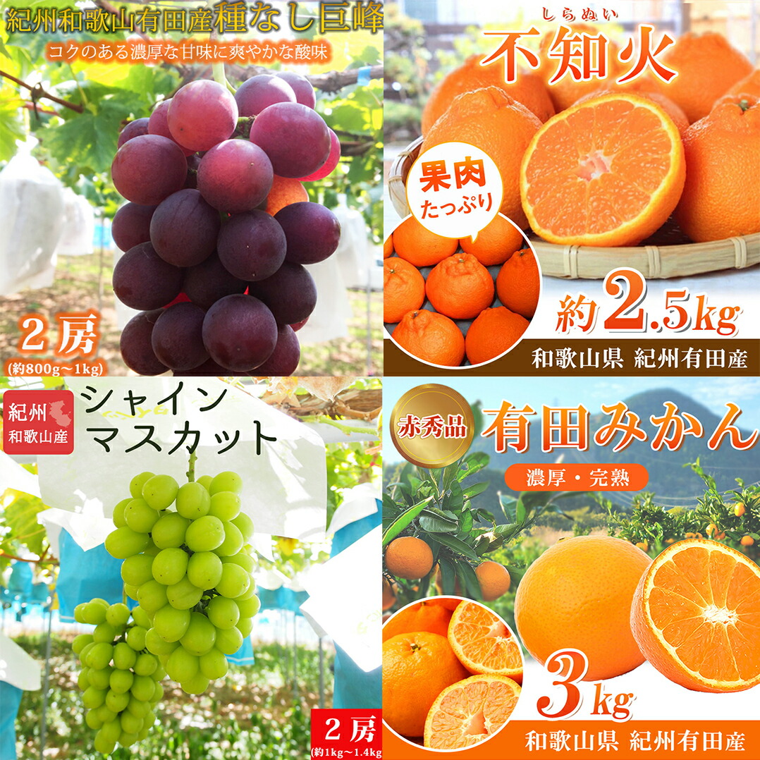 【ふるさと納税】 【全4回】 紀州和歌山産旬のフルーツセット (巨峰・シャイン・みかん・不知火)  / 定期便 フルーツ フルーツ定期便  おすすめ 和歌山 果物 くだもの 葡萄 巨峰 ぶどう シャインマスカット マスカット  みかん ミカン 有田みかん 柑橘 でこぽん