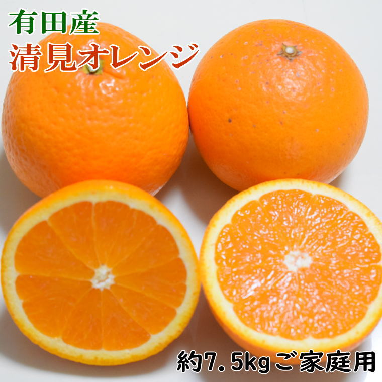 【ふるさと納税】 【産直】有田産清見オレンジ 約7.5kg（訳あり家庭用サイズおまかせまたは混合）※2026年2月上旬～2026年3月下旬頃次発送予定（日付指定不可）