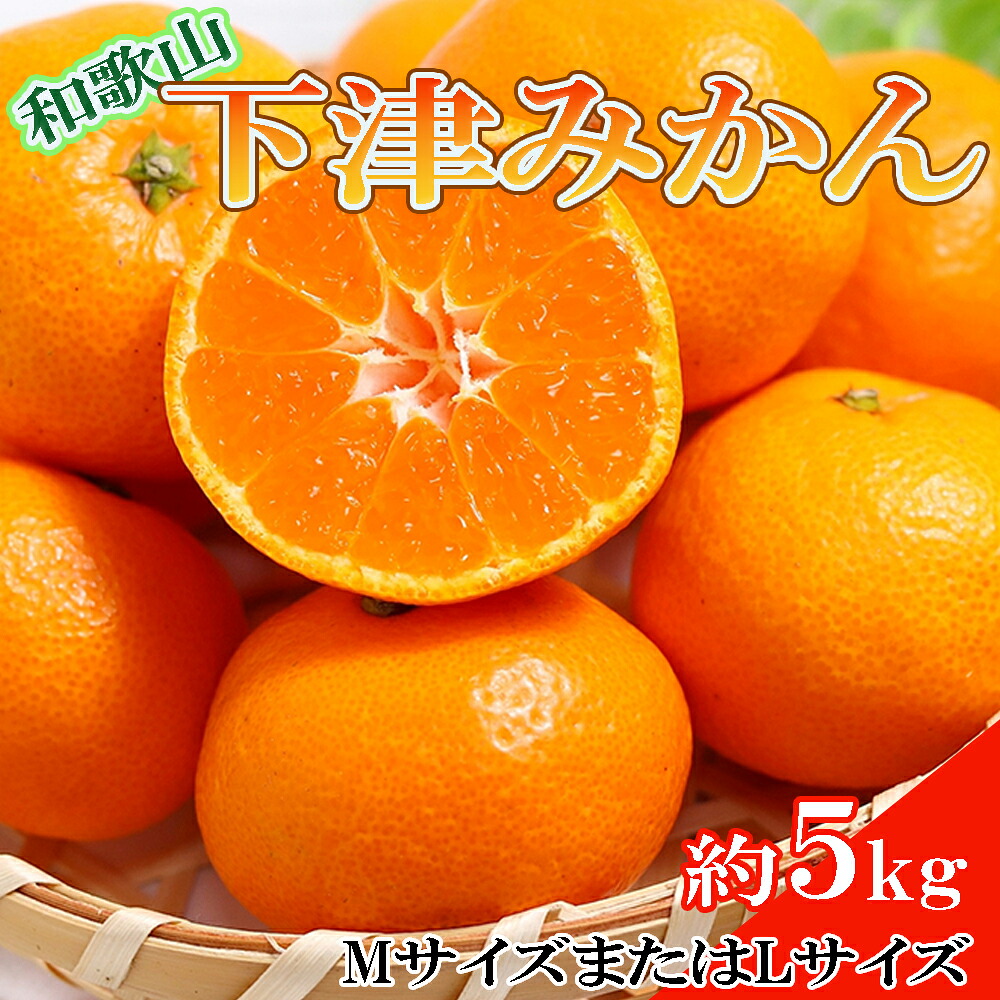 【ふるさと納税】【産直・秀品】和歌山下津みかん約5kg(MサイズまたはLサイズのいずれかをお届け) ※2026年11月中旬～2027年1月中旬頃に順次発送(お届け日指定不可)｜和歌山県太地町