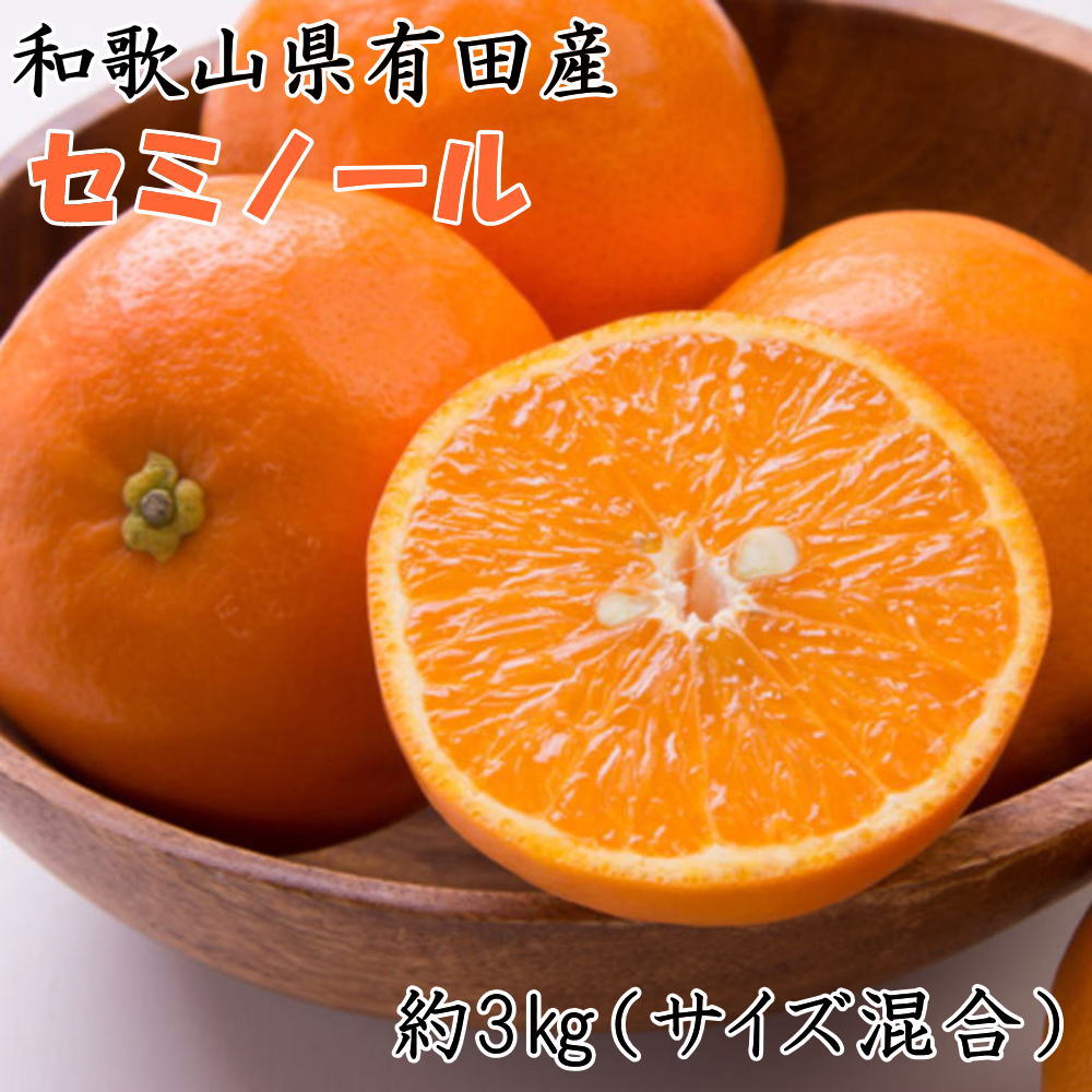 【ふるさと納税】 【濃厚オレンジ】和歌山有田産セミノール約3kg（サイズ混合 秀品）※2026年4月中旬～2026年5月上旬頃に順次発送