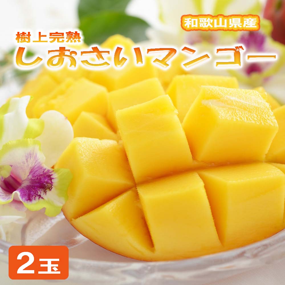 【ふるさと納税】和歌山県産 樹上完熟しおさいマンゴー(2玉入り)※2026年8月上旬～2026年8月下旬頃に順次発送予定
