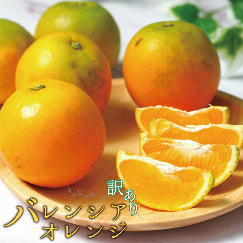 【ふるさと納税】 【国産 訳あり】希少 バレンシアオレンジ 7kg【ご家庭用】 ※2025年6月下旬頃～7月上旬ごろ順次発送予定(お届け指定日不可)