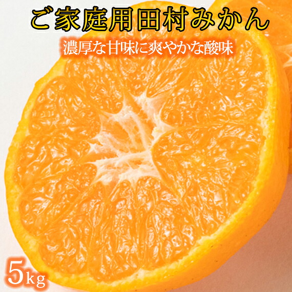 【ふるさと納税】 【ご家庭用訳あり】田村みかん 5kg ※2026年11月下旬頃～2027年1月下旬頃に順次発送予定(お届け日指定不可)｜和歌山県太地町 9,230円
